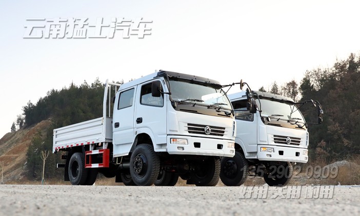 右舵卡車(chē),雙排卡車(chē),出口專用車(chē)定制,4*4右駕貨車(chē),越野卡車(chē),全驅(qū)車(chē)出口